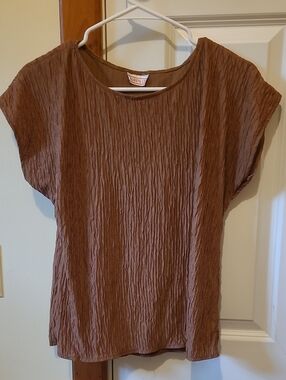 Lauren Lee Crinkled Short-Sleeve Top in Brown